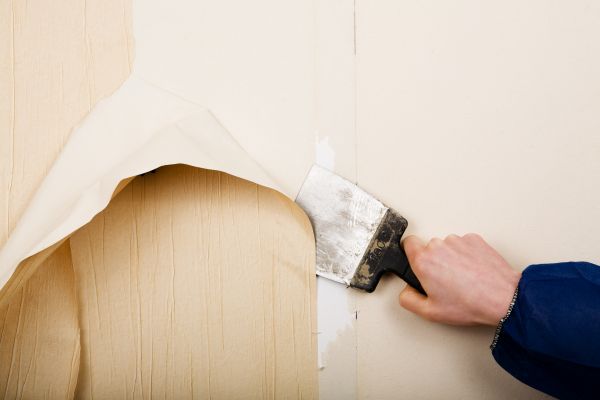 Wallpaper Stripping